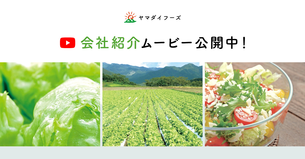 会社紹介ムービー公開中！